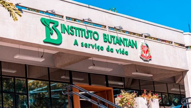 Dois farmacêuticos do Butantan estão entre os melhores cientistas do mundo em ranking internacional