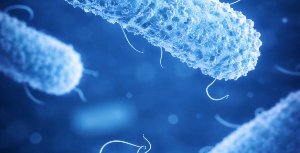 Hidrogel brasileiro mostra ação contra superbactérias e aponta novos caminhos para controle de infecções hospitalares