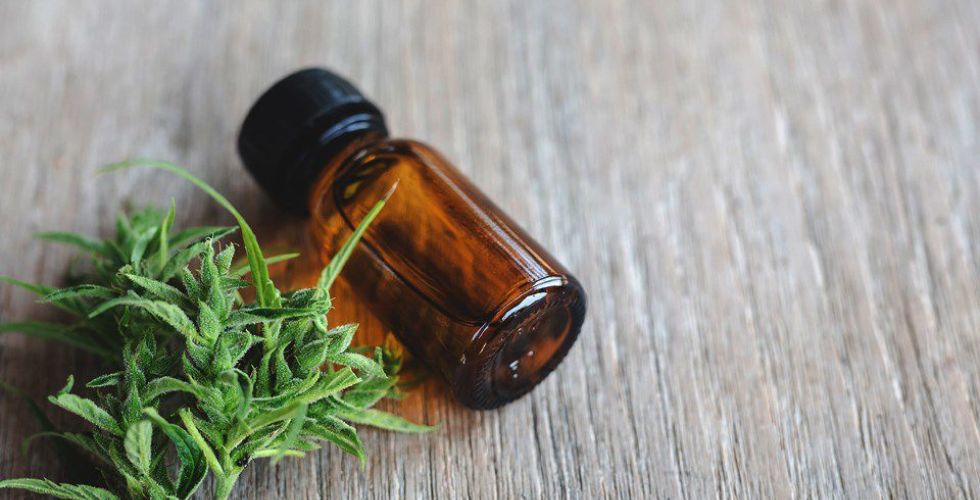 INPI anula patente de medicamento à base de canabidiol