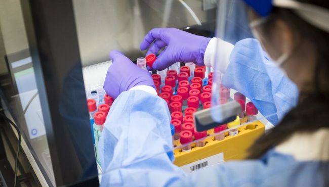 Antiviral demonstra alta eficácia contra a Covid-19