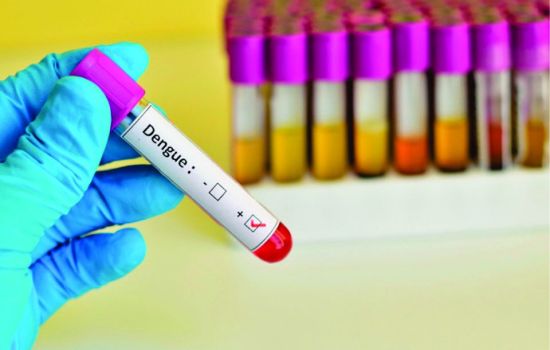 A prescrição farmacêutica em casos de doenças causadas pelo aedes aegypti