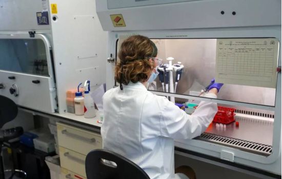 Covid-19: coquetel de anticorpos na reta final dos testes clínicos