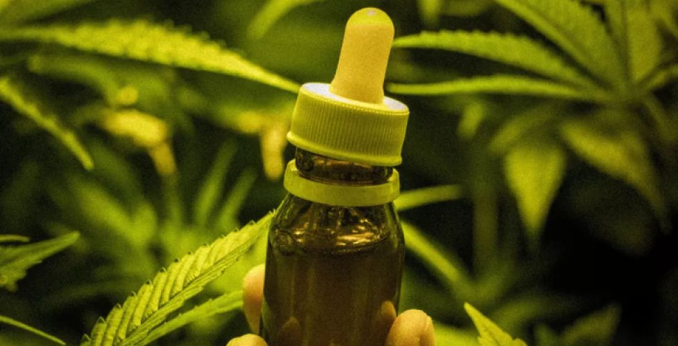 Novas normas da Anvisa para dispensação de produtos à base de Cannabis entram em vigor em 4 de maio