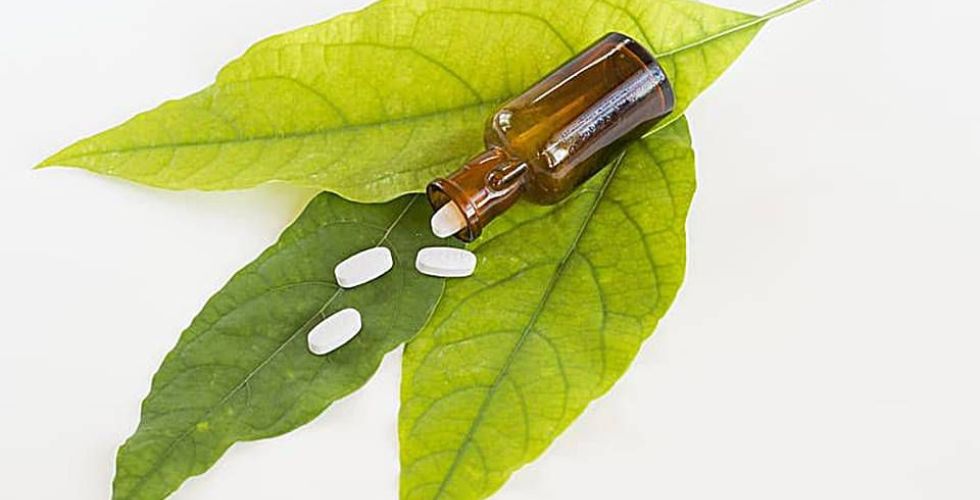 Como otimizar projetos de fitoterápicos para a indústria farmacêutica