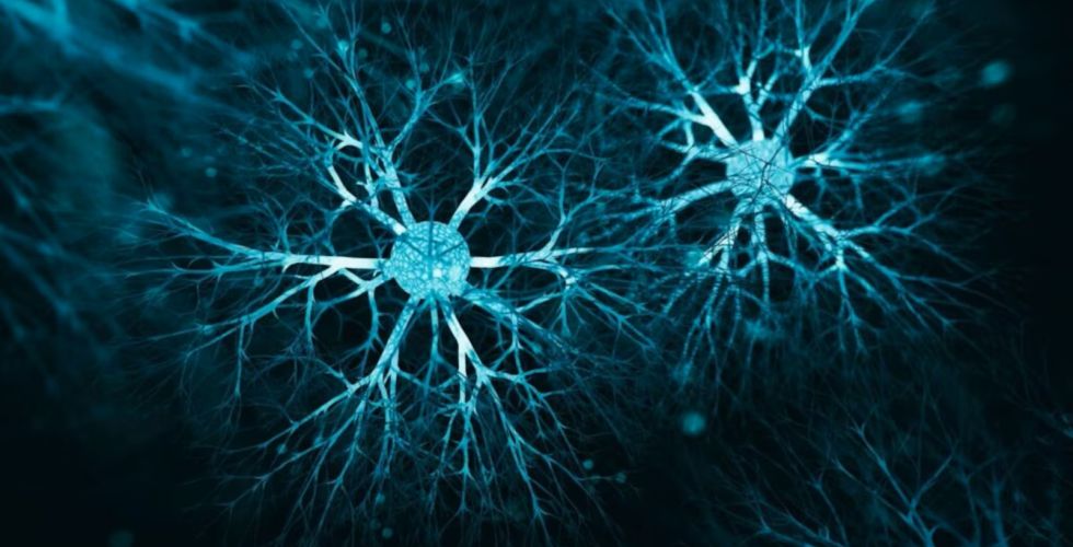 Estudo revela que medicamento para diarreia pode regenerar neurônio