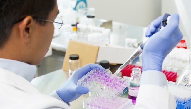 Pesquisa descobre nanopartícula que aumenta em até 10 vezes a eficiência de antibióticos