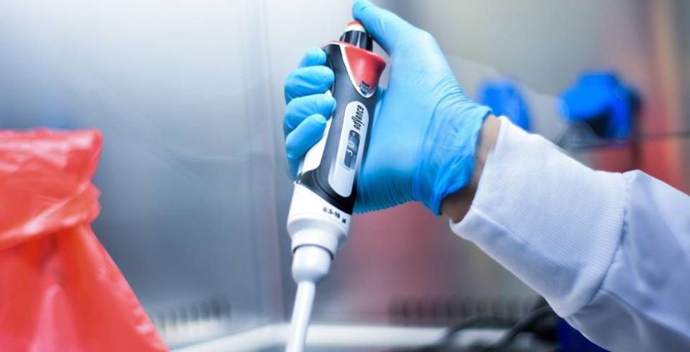 Falha imunológica pode agravar quadro de Covid-19, dizem cientistas