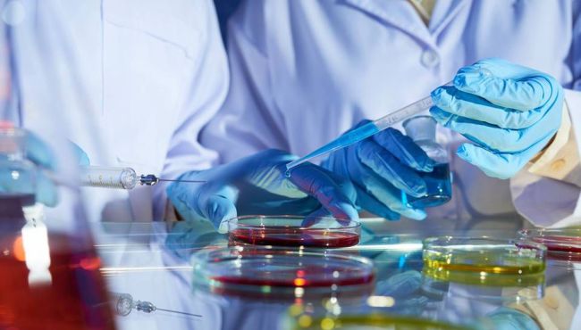 Cientistas descobrem de onde podem vir novas pandemias