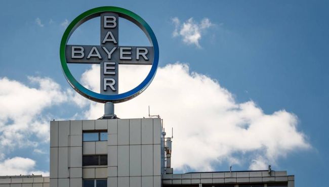 Bayer estabelece meta de 50% de mulheres em cargos de liderança até 2030