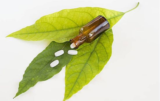 Como otimizar projetos de fitoterápicos para a indústria farmacêutica