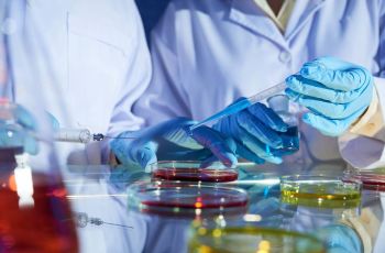 Cientistas descobrem de onde podem vir novas pandemias