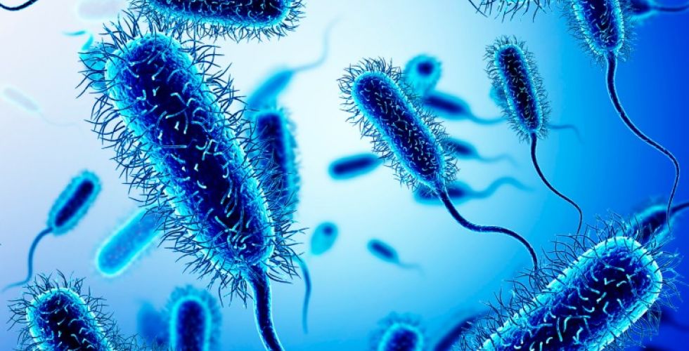 Após 50 anos, nova classe de antibióticos pode ser lançada.