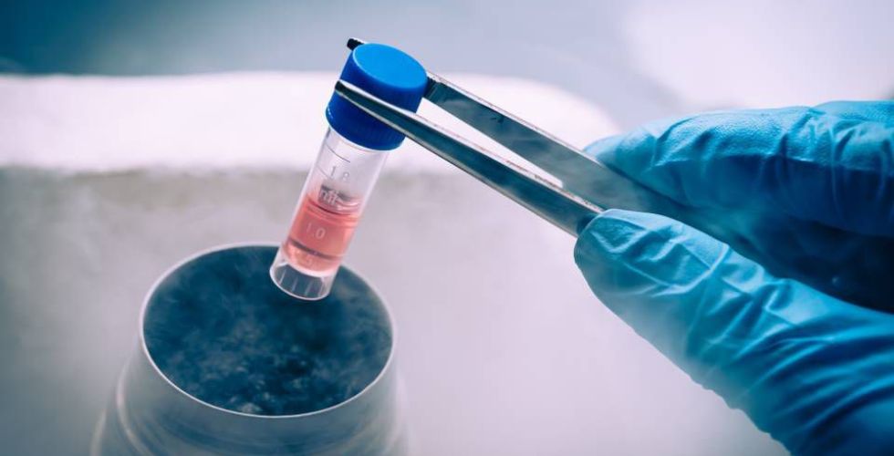 Indústrias investem recursos milionários em medicamentos biológicos