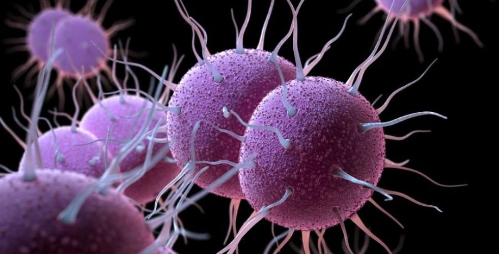 FDA aprova novas opções contra avanço da gonorreia resistente