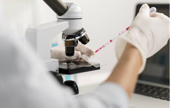 Bactérias do intestino produzem compostos que podem inibir o coronavírus