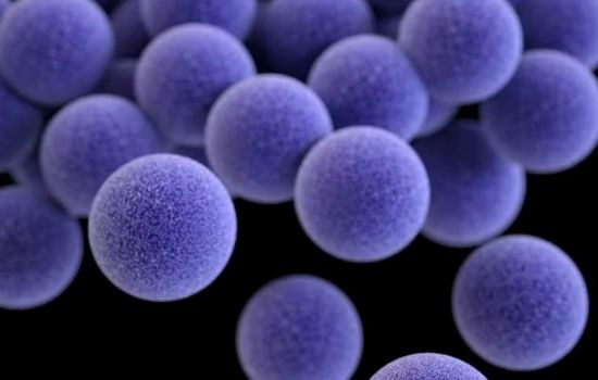 Novo estudo alerta para disseminação de bactéria resistente fora de hospitais