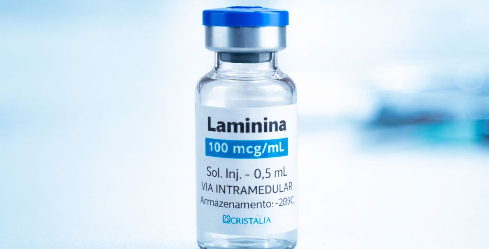 Anvisa aprova estudo clínico com polilaminina e leva pesquisa brasileira a fase regulatória decisiva