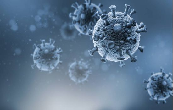 Vermífugo e medicamento para asma conseguem matar coronavírus em testes