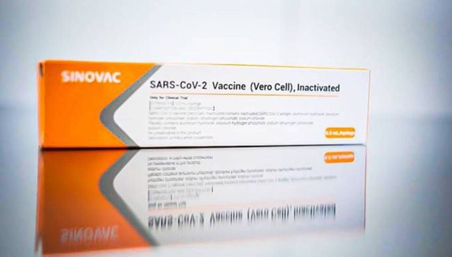 Coronavac produz anticorpos contra a Covid em 97% dos participantes