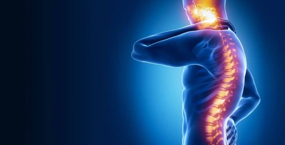 O que já se sabe sobre a polilaminina da UFRJ que pode recuperar movimentos após lesão na medula