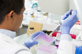 Venenos de vespa e escorpião podem ter substâncias que combatem à tuberculose